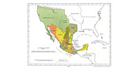 Штаты Новой Испании (Мексики)