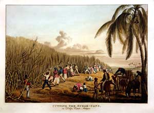 Ручная сборка рабами сахарного тростника в 18 веке.